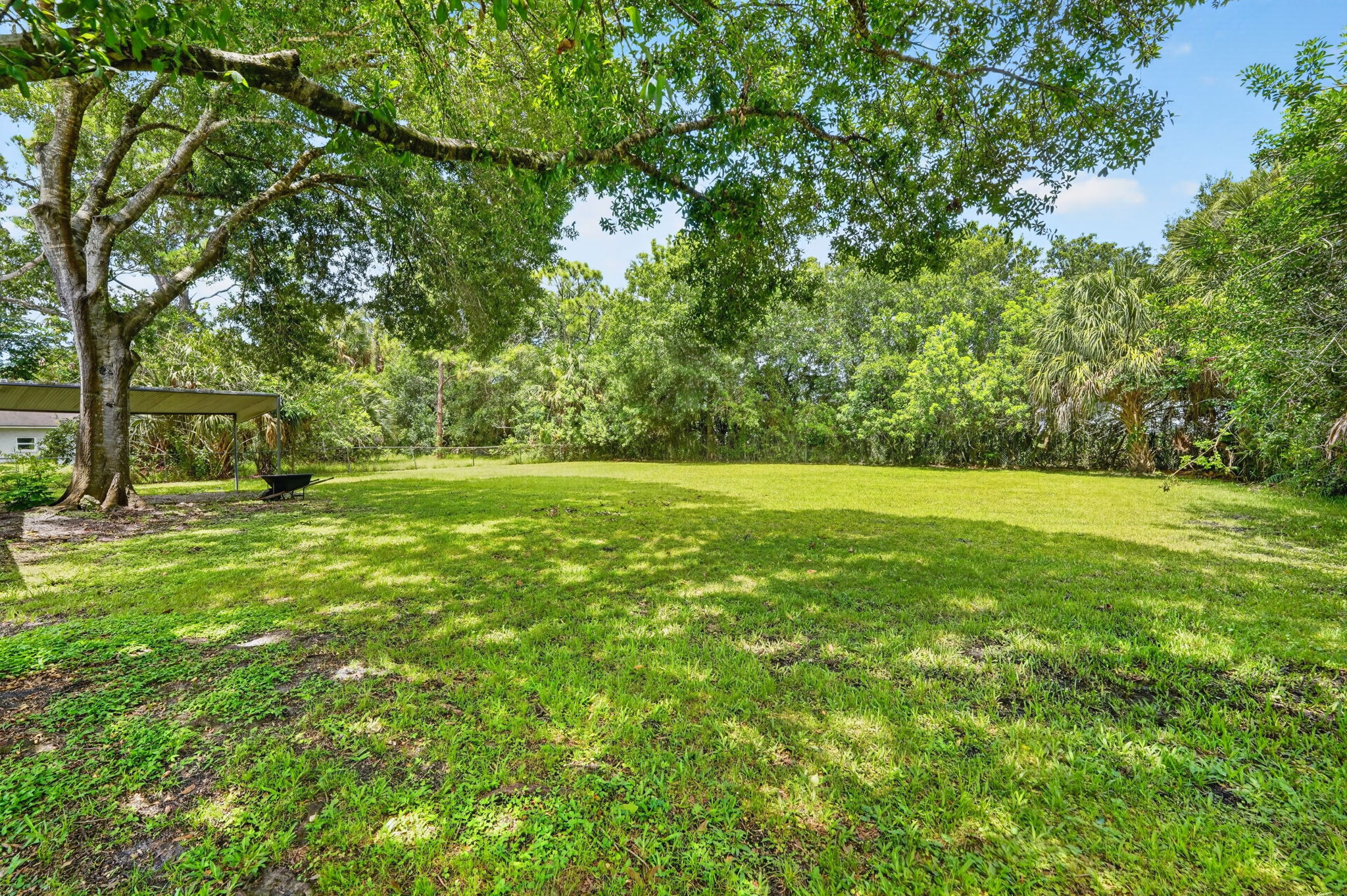 Backyard