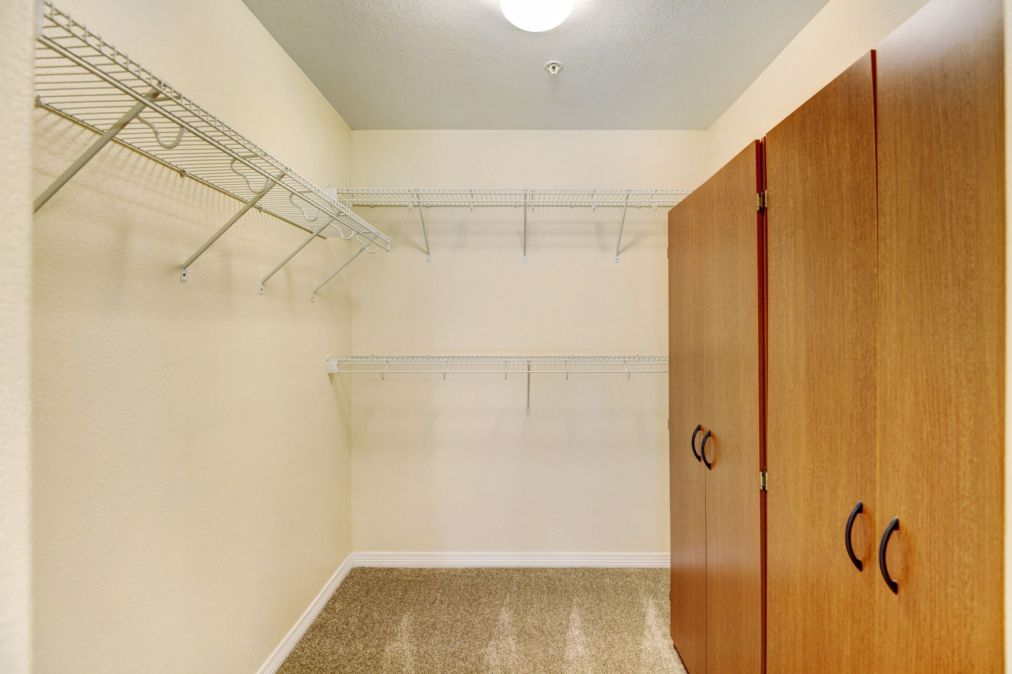 primary walk in closet