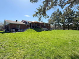  Photo 41