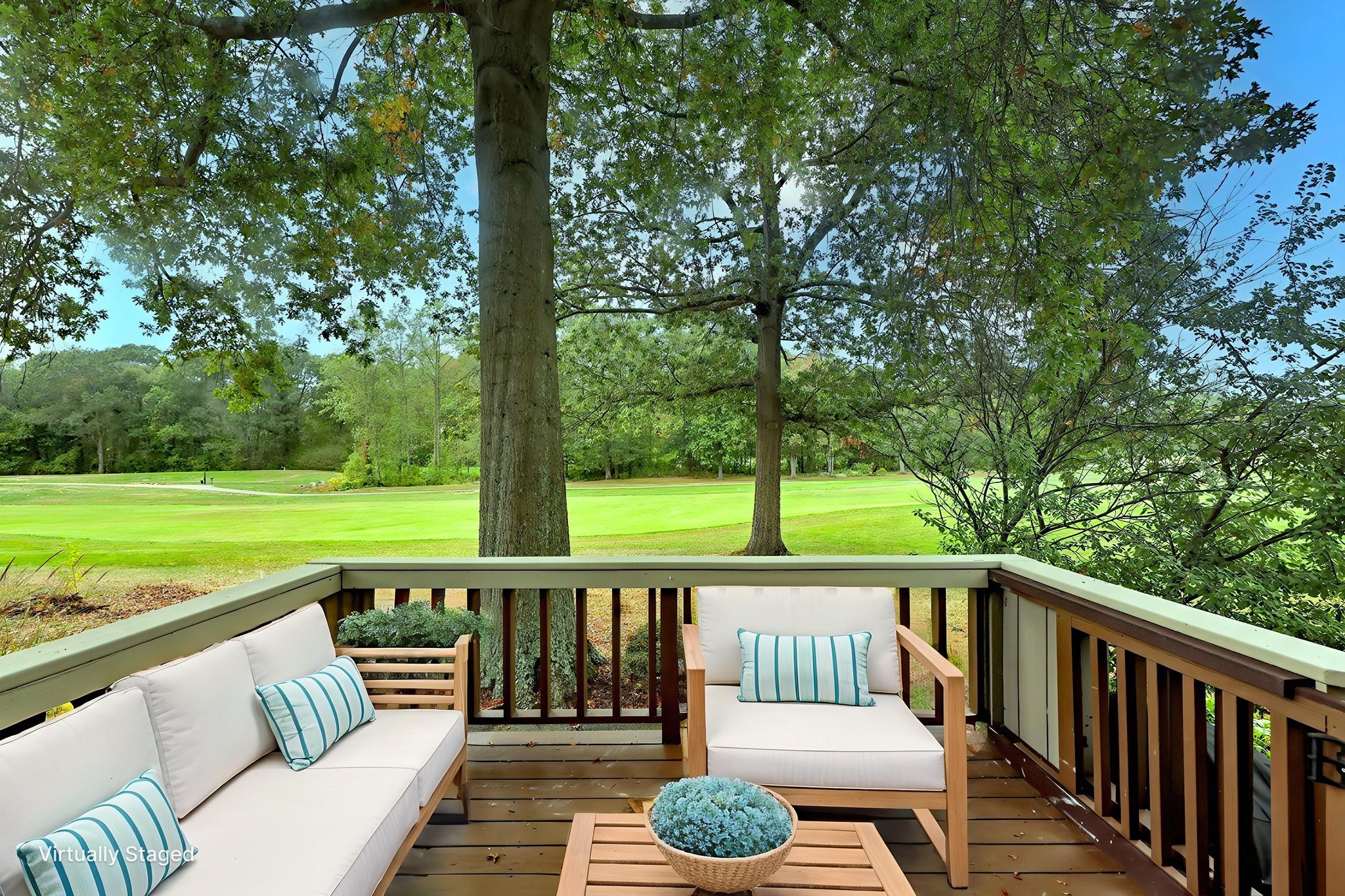 BFD 009 virtually staged.jpeg