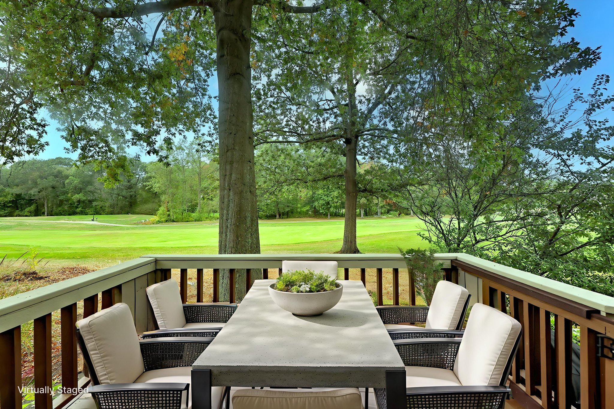 BFD 009 virtually staged.jpeg