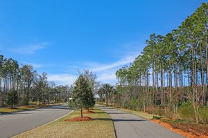 Del Webb Nocatee