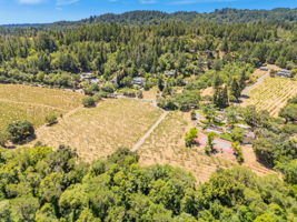 006_AERIAL_1950 West Dry Creek