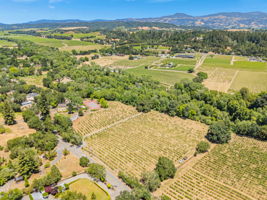 010_AERIAL_1950 West Dry Creek