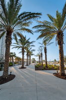 Coachman Park2