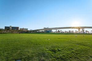 Coachman Park14