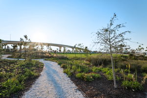 Coachman Park15