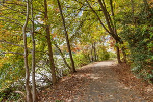 Reston Trail System (55 miles of trails)