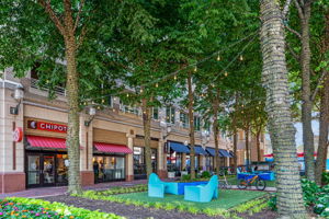 Reston Town Center dining and shopping