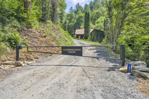 Overall Photo