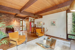 Western Red Cedar Beans