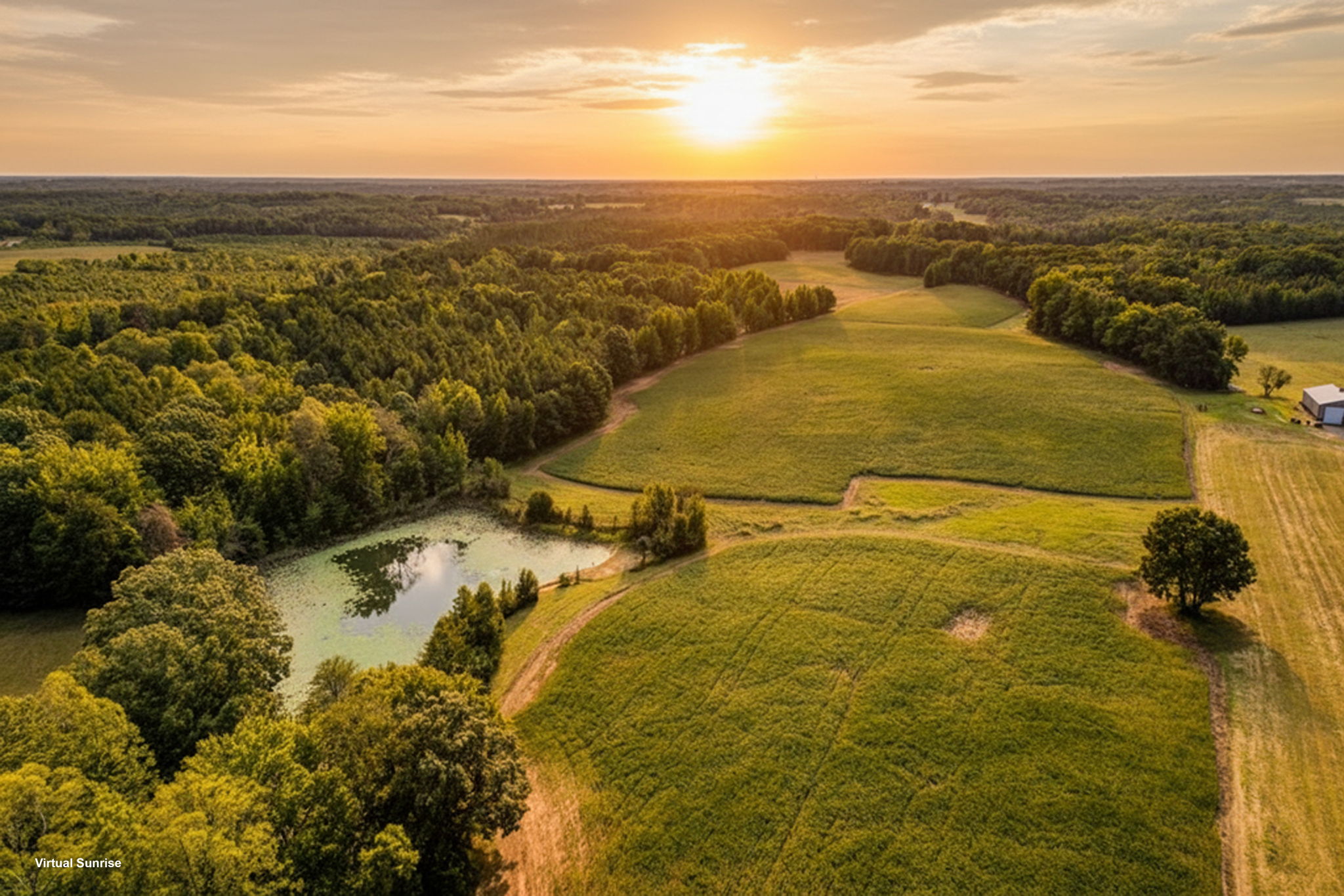 Pasture - Field