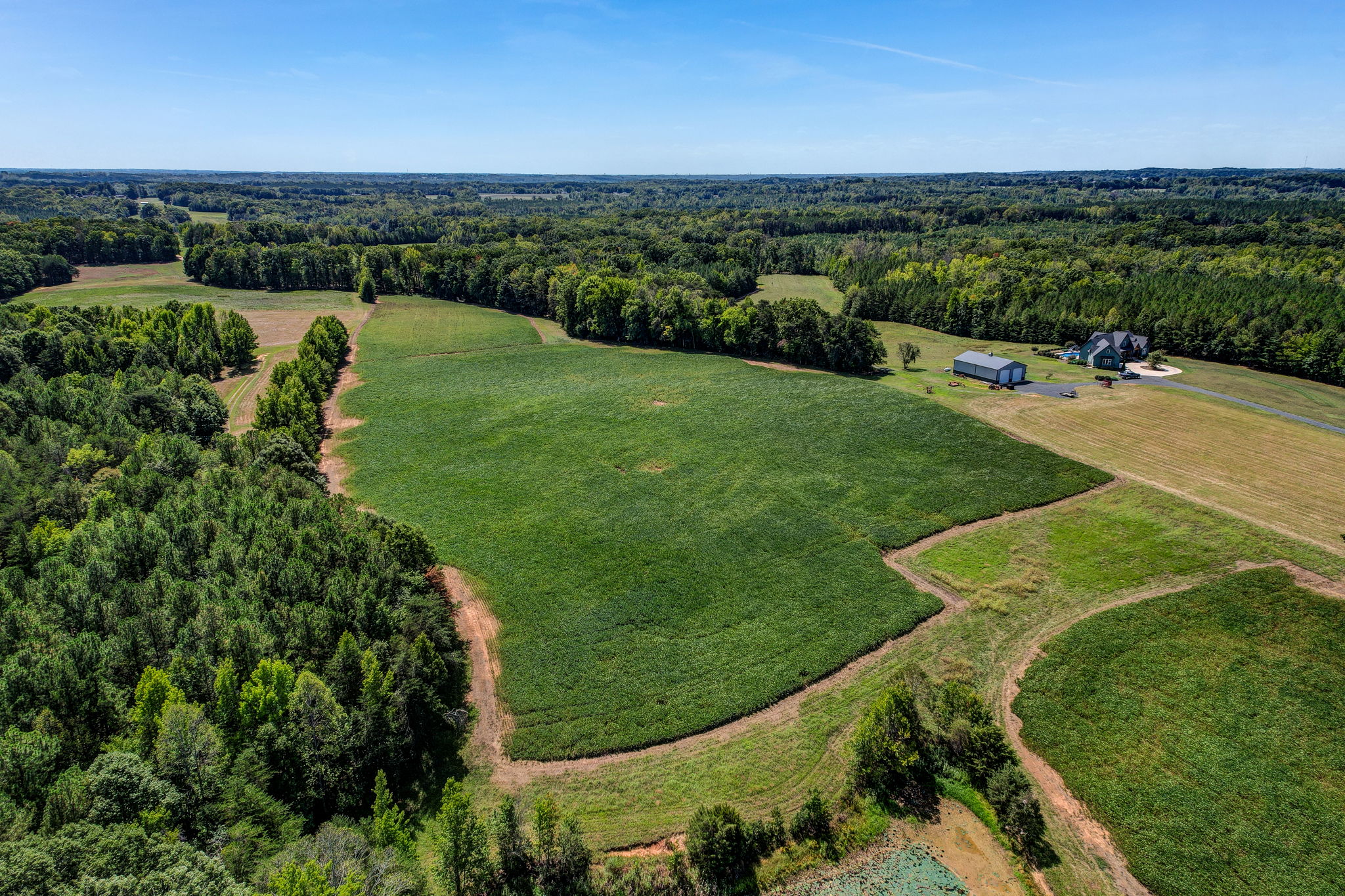 Pasture - Field