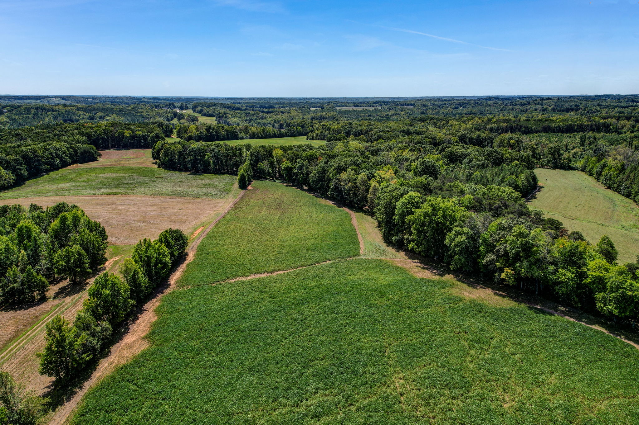 Pasture - Field