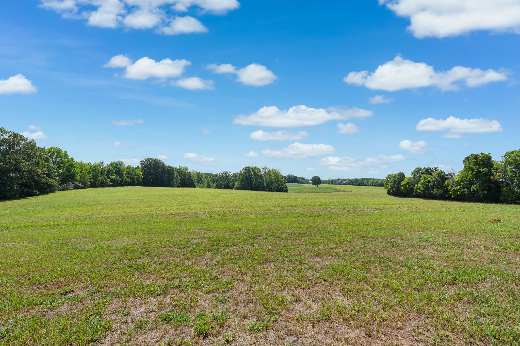 Pasture - Field