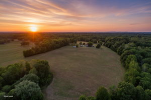 Pasture - Field