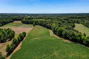 Pasture - Field