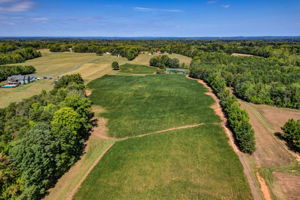 Pasture - Field