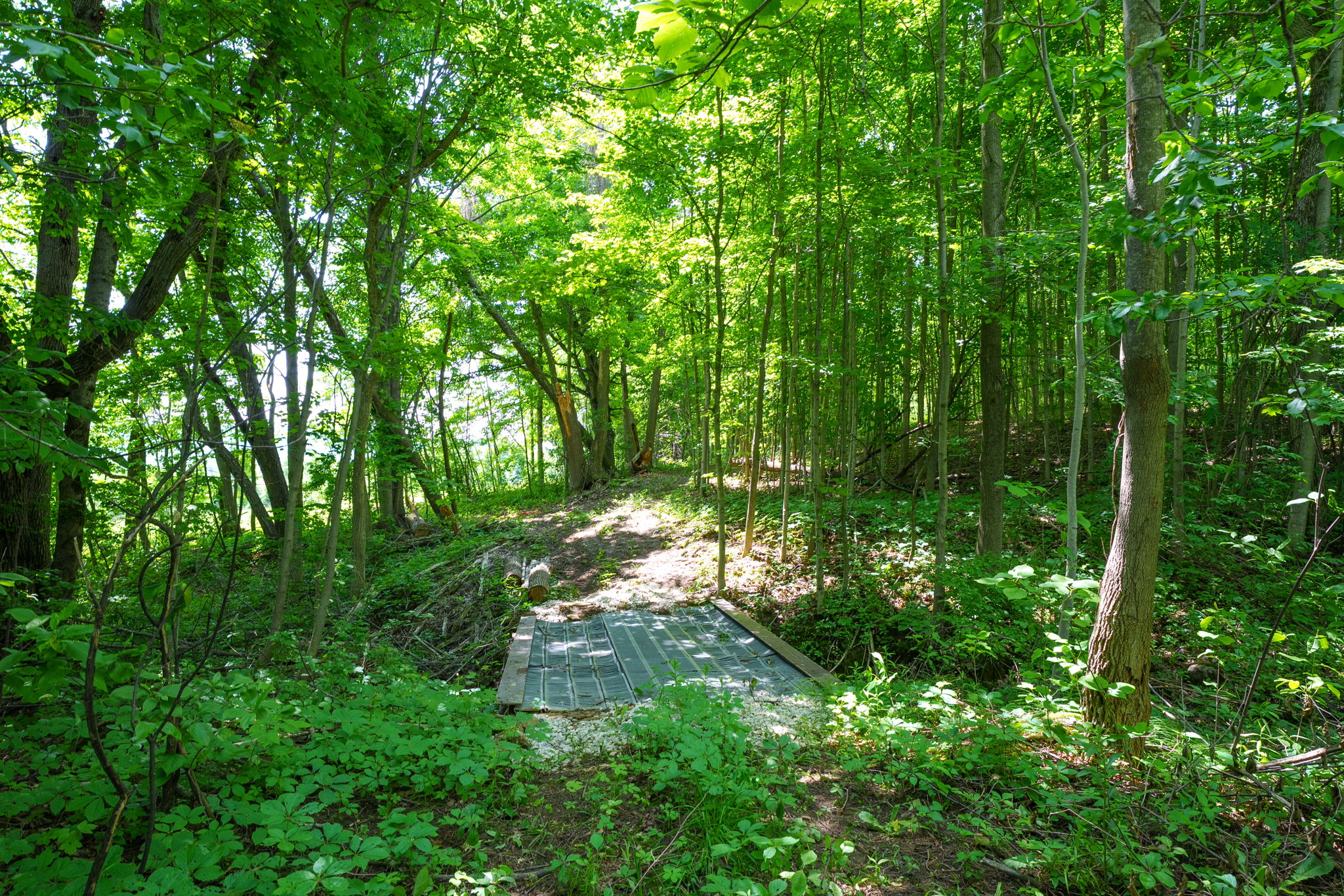  Photo 49