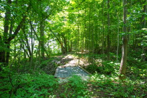  Photo 48