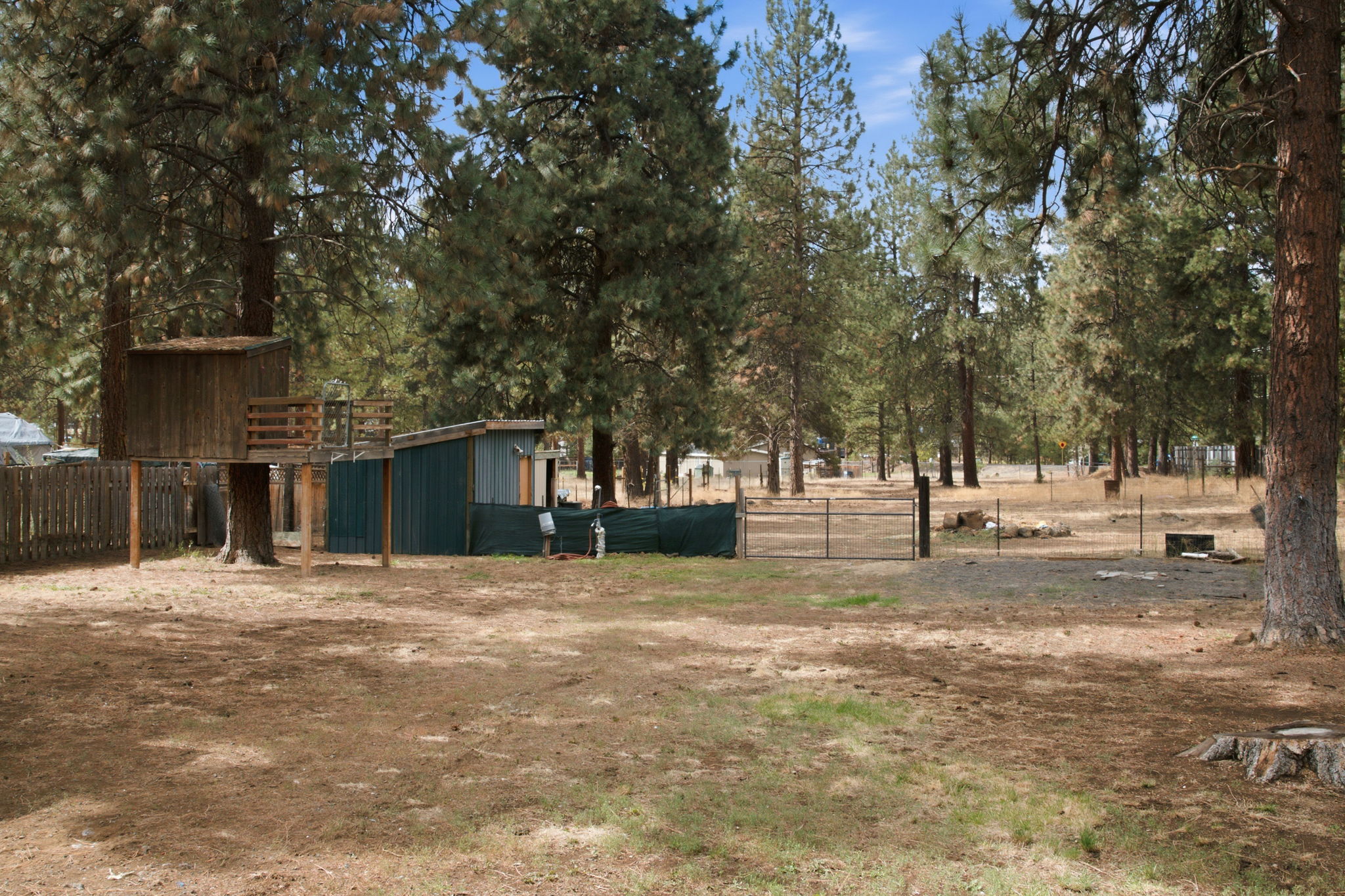  Photo 20