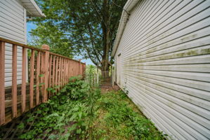  Photo 53