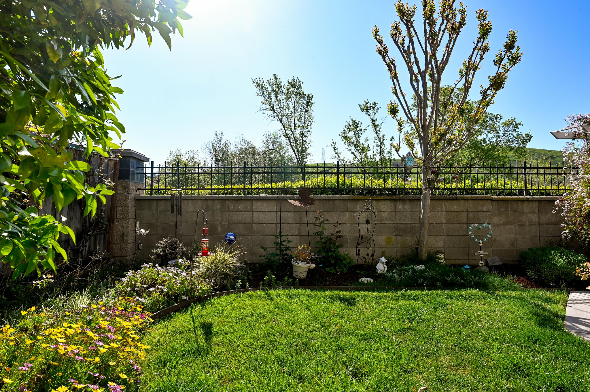  Photo 36