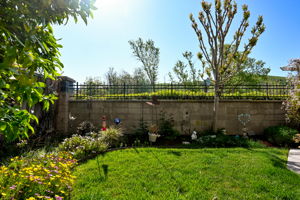  Photo 35