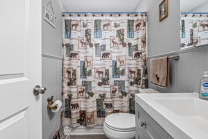  Photo 56