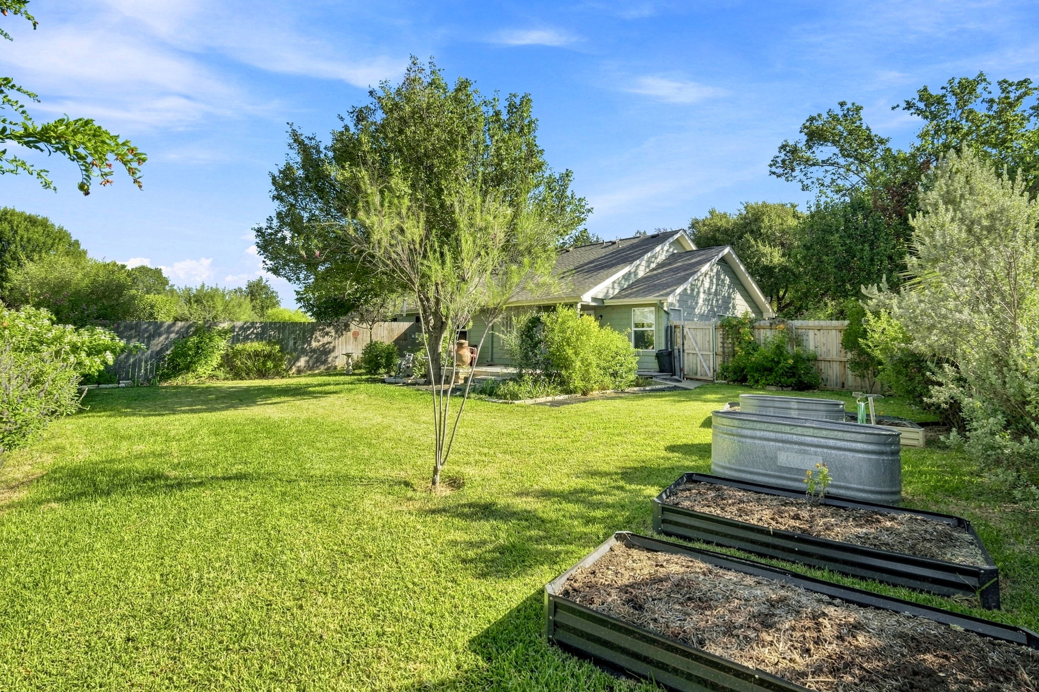 Back Yard