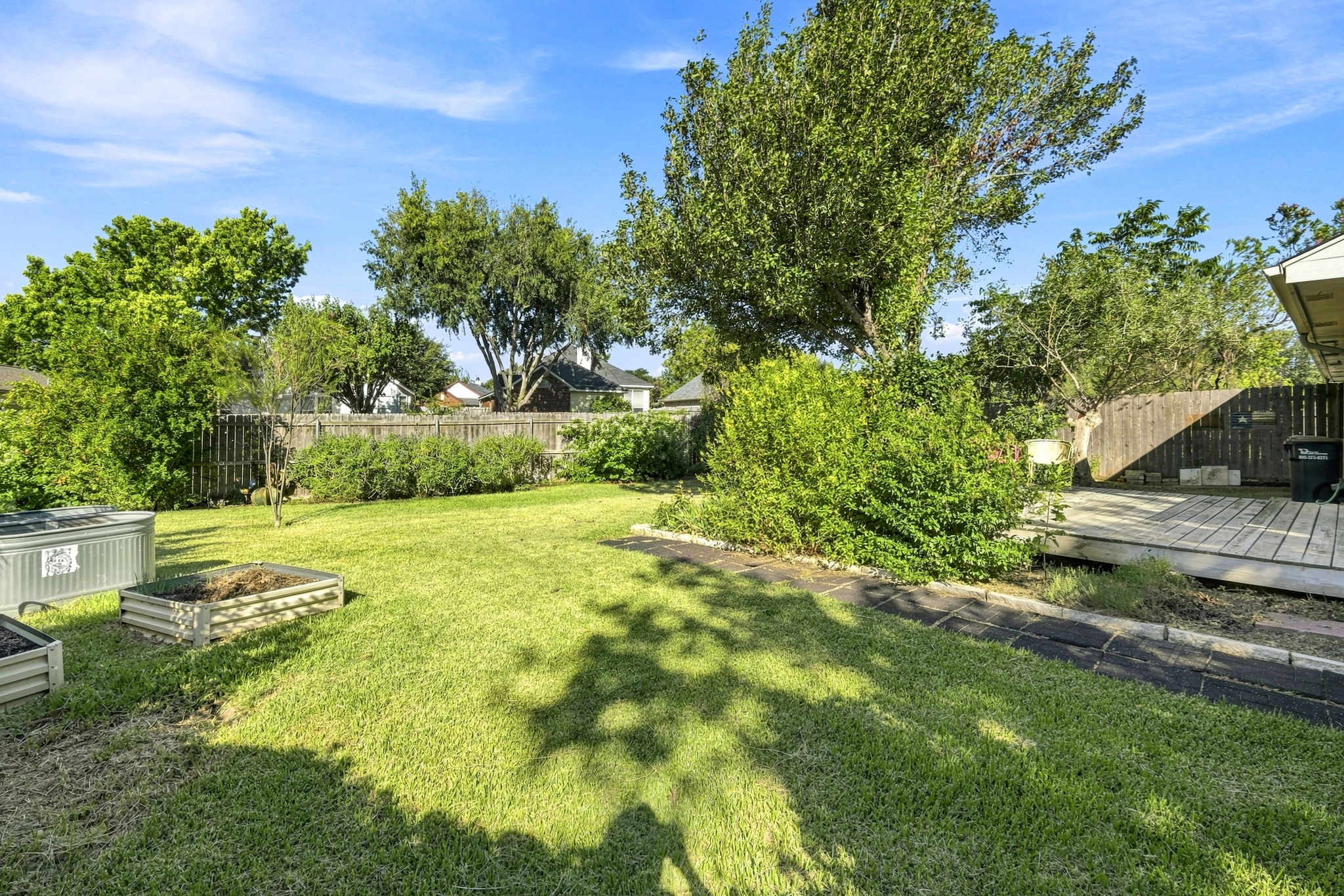 Back Yard