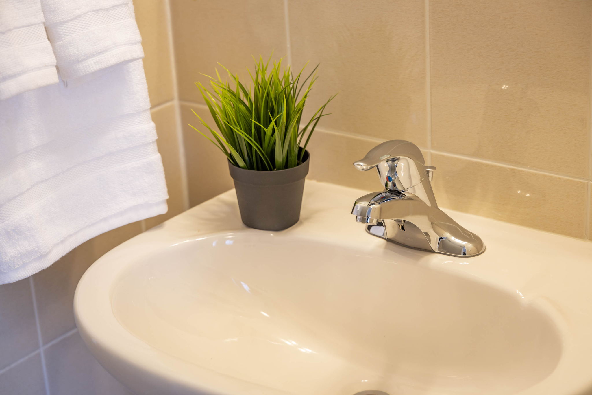 Newmarket property showcase — delivered property photograph 43