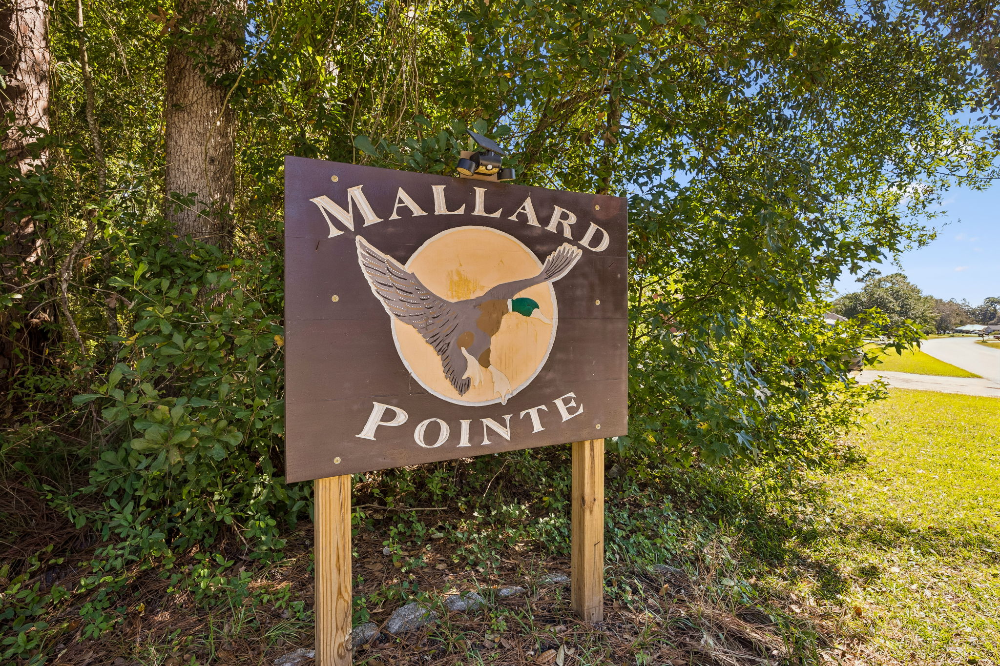 Mallard Pointe