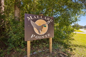 Mallard Pointe