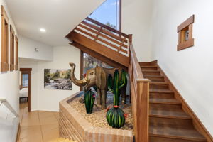  Photo 48
