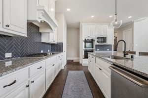 Raccoon Holw Wy-S2506-012.jpg