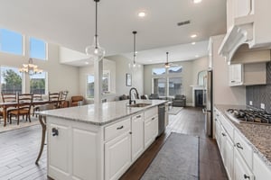 Raccoon Holw Wy-S2506-013.jpg
