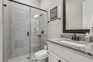 Raccoon Holw Wy-S2506-024.jpg