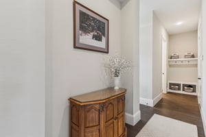 Raccoon Holw Wy-S2506-027.jpg