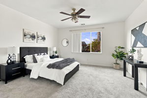  Photo 33