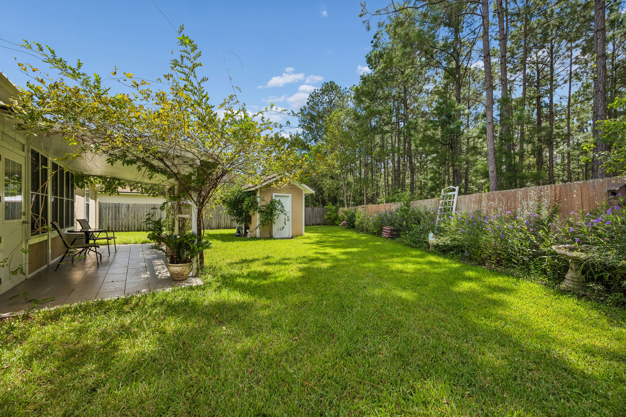 Back Yard