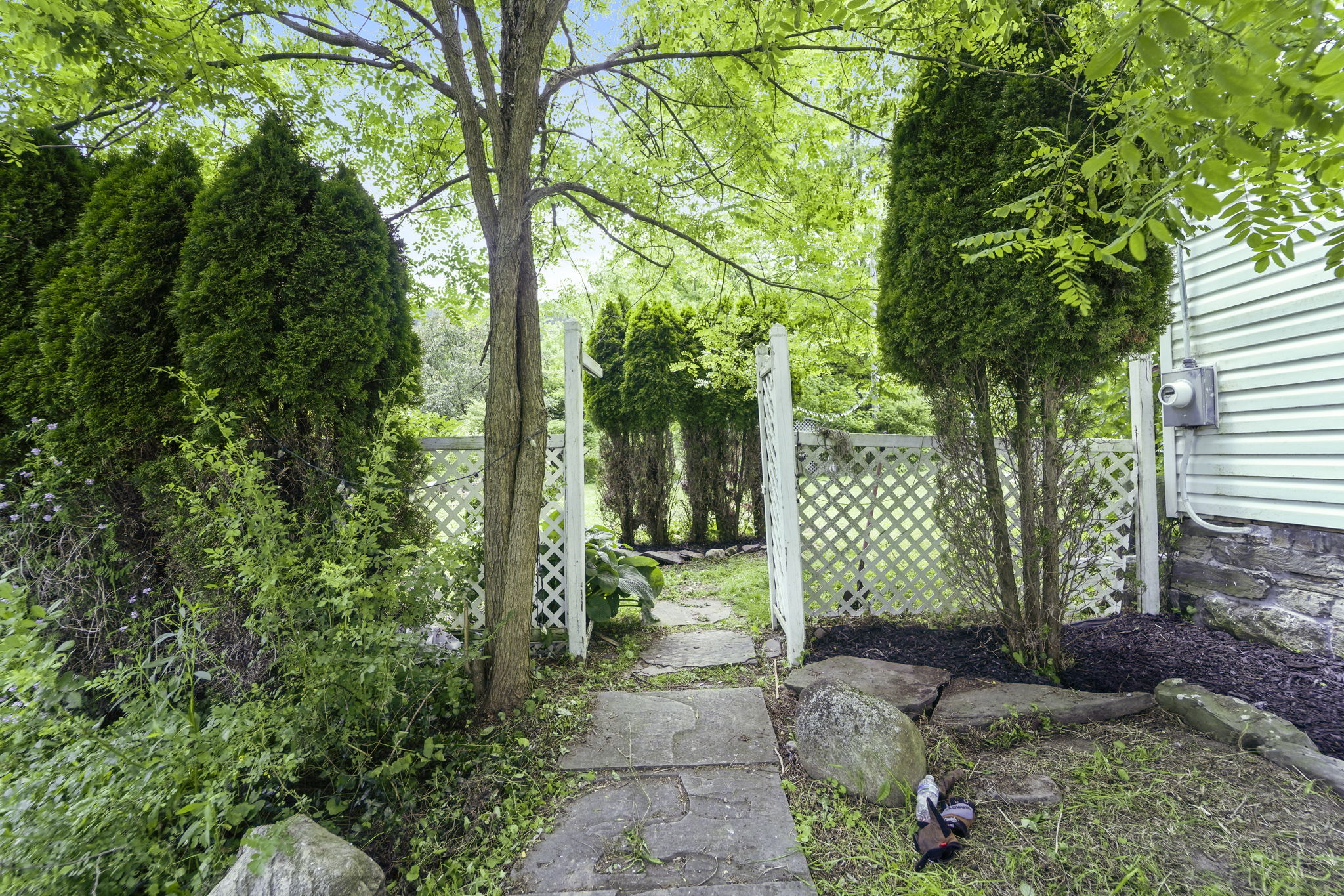  Photo 46