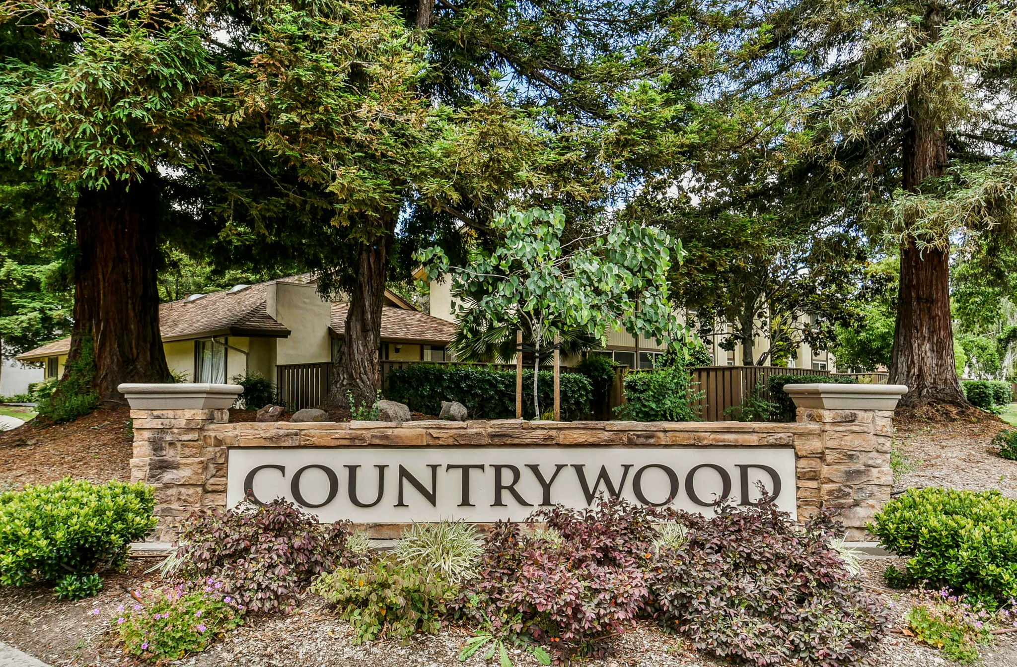 1965 Countrywood Ct, Walnut Creek, CA 94598 ALL ACCESS PHOTO