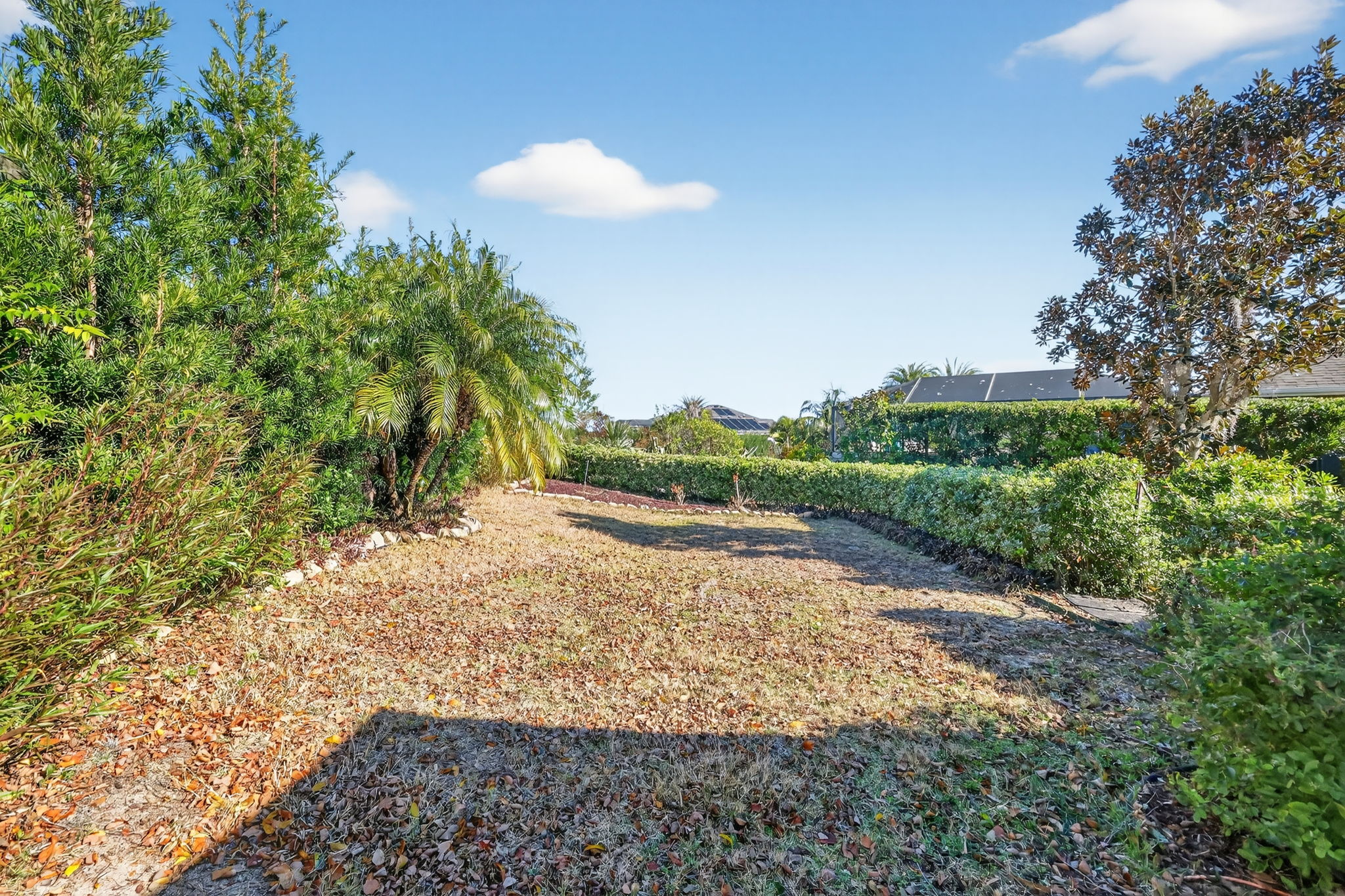 Large Private Rear Yard with Room for a Pool!