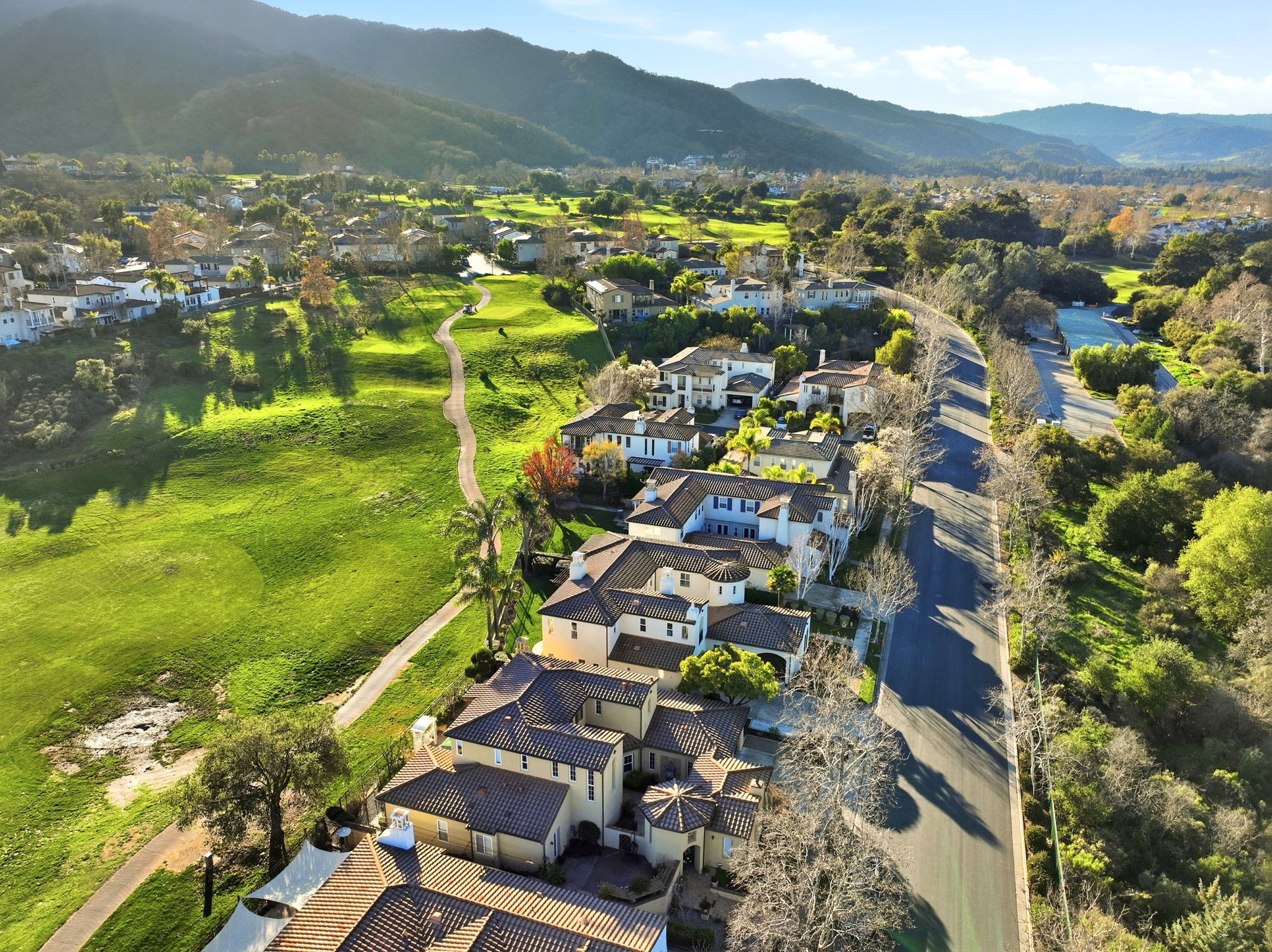 006_F8_AERIAL_1965 St Andrews Cir