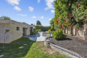  Photo 44