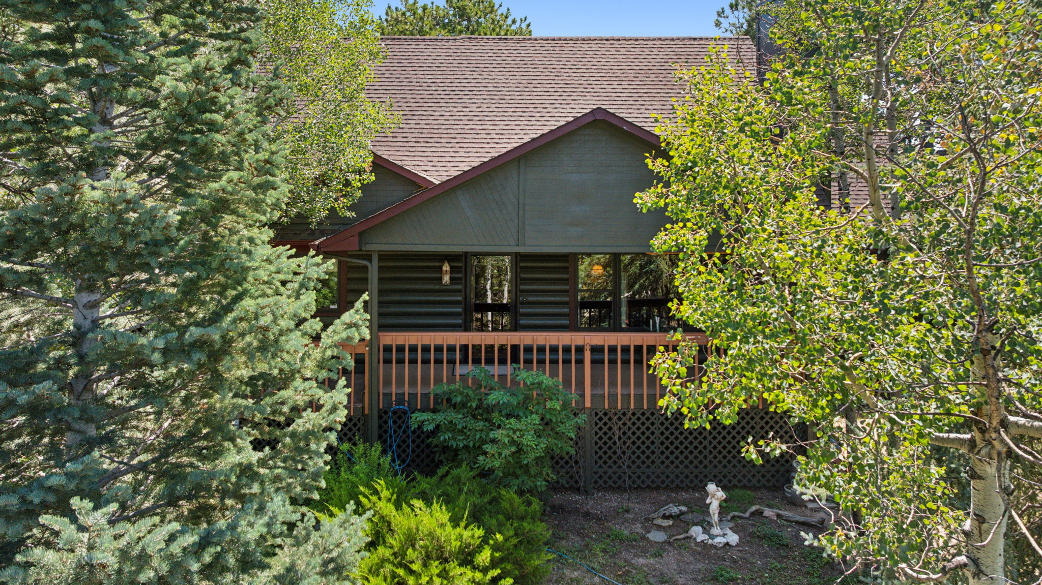  Photo 7