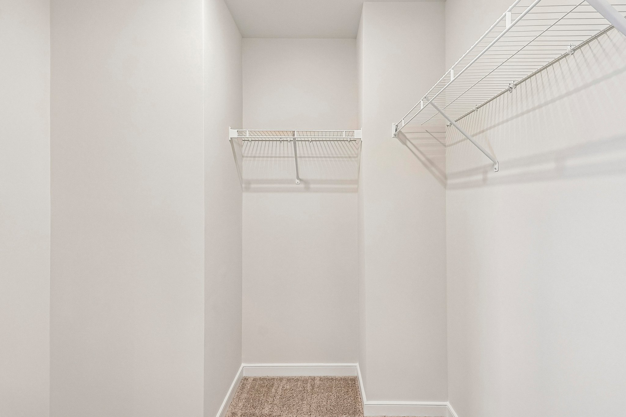 Sepia Sq-S2907-040.jpg