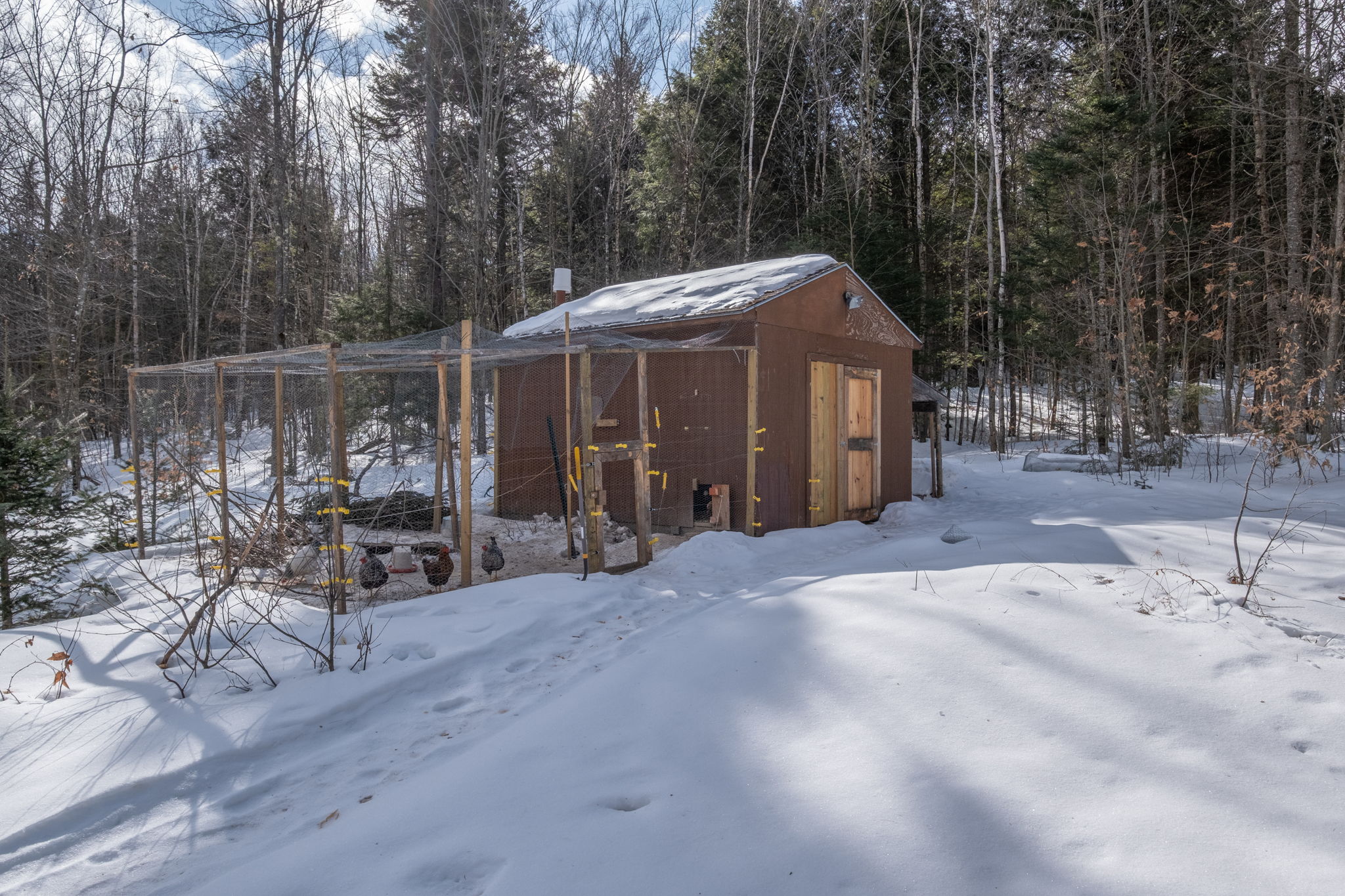 197 Dean Rd, Danbury, NH 03230 WolfReel Visuals