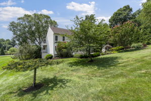  Photo 46